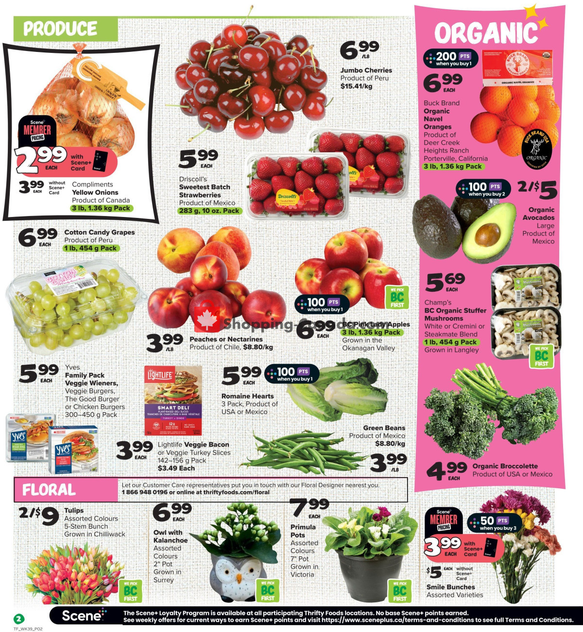Thrifty Foods flyer from Thursday January 25, 2024 to Wednesday January 31, 2024 - page 3