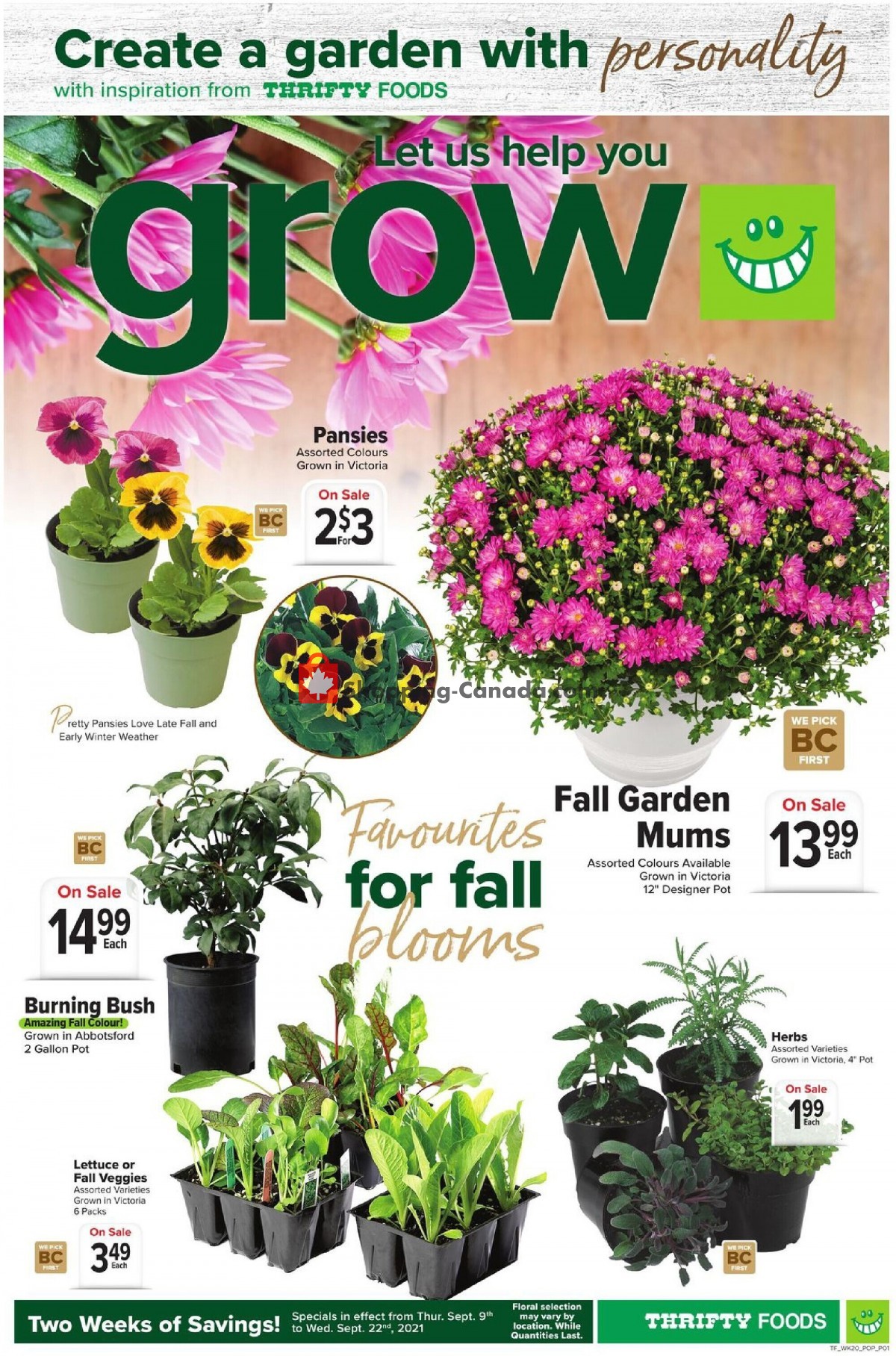 Thrifty Foods flyer from Thursday September 9, 2021 to Wednesday September 15, 2021 - page 14