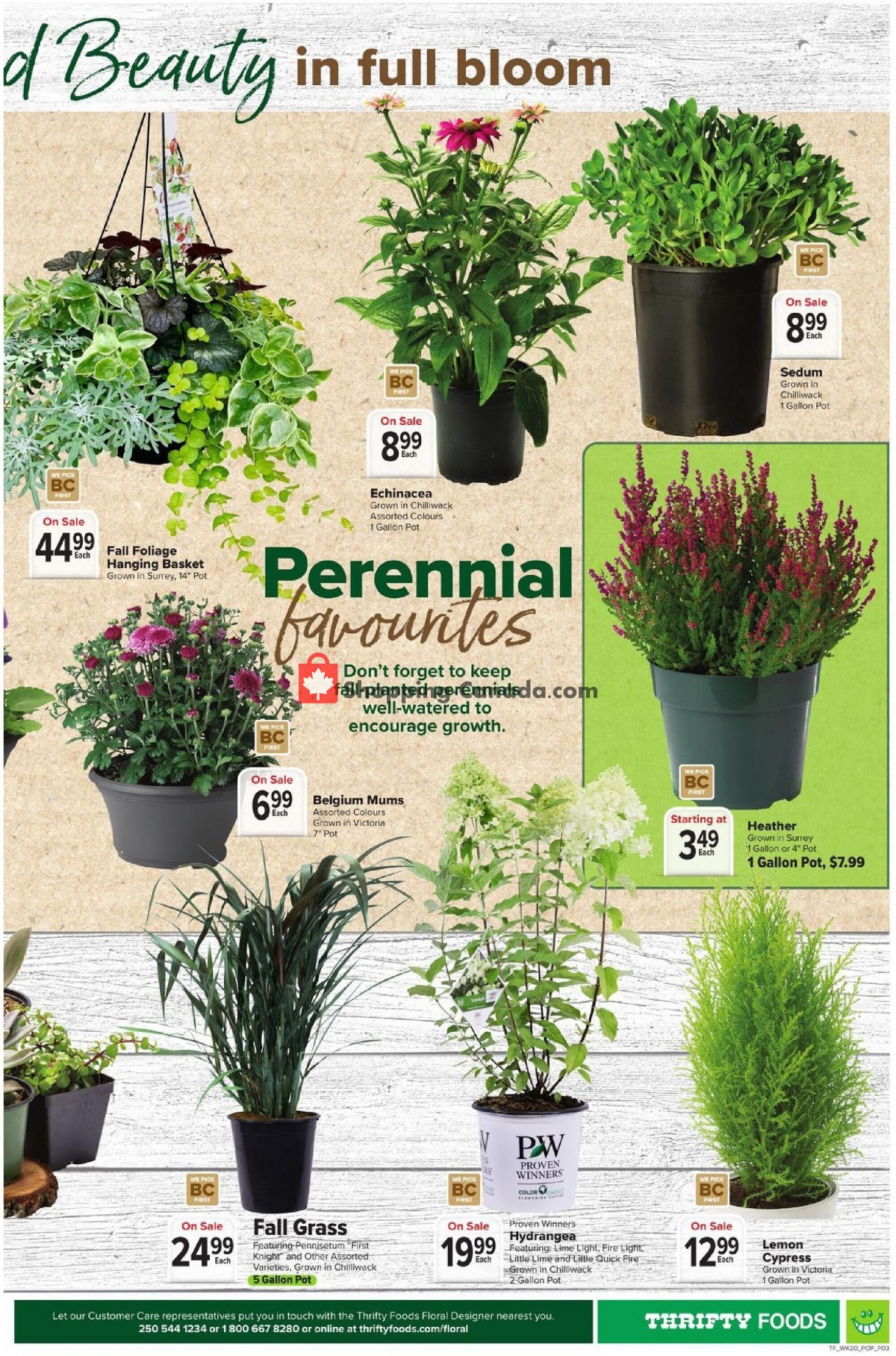 Thrifty Foods flyer from Thursday September 9, 2021 to Wednesday September 15, 2021 - page 16