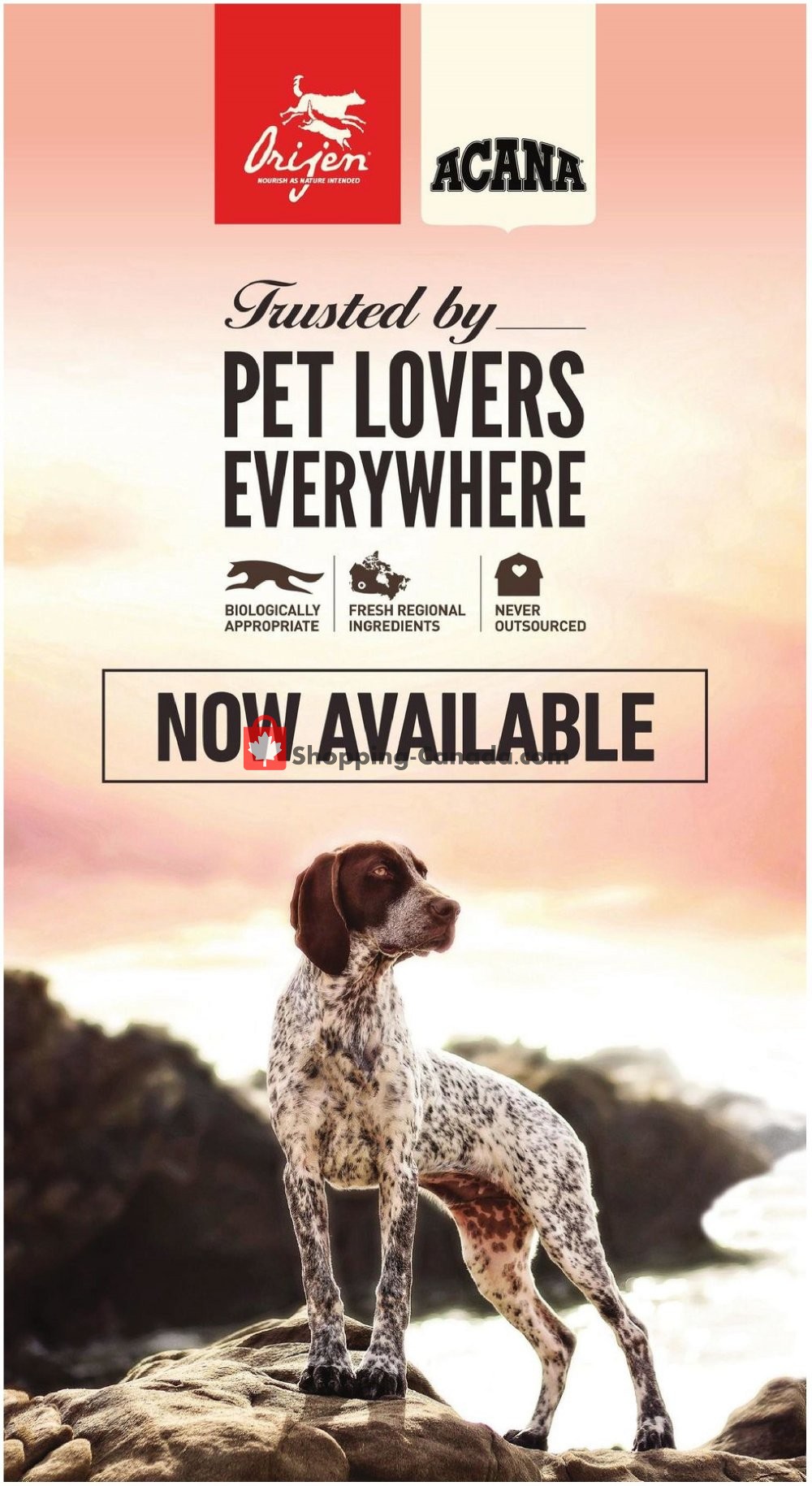 Tisol Pet Nutrition And Supply Stores flyer from Thursday October 3, 2019 to Sunday October 13, 2019 - page 6