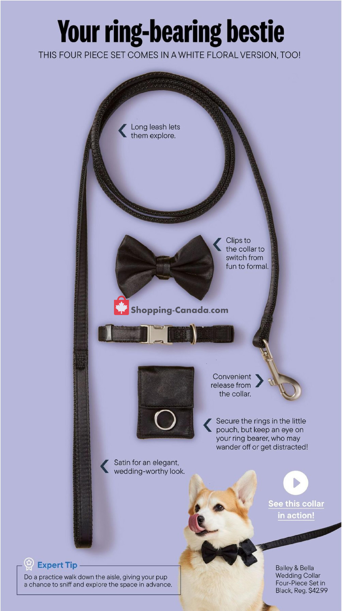 Total Pet flyer from Monday April 22, 2024 to Friday August 30, 2024 - page 5