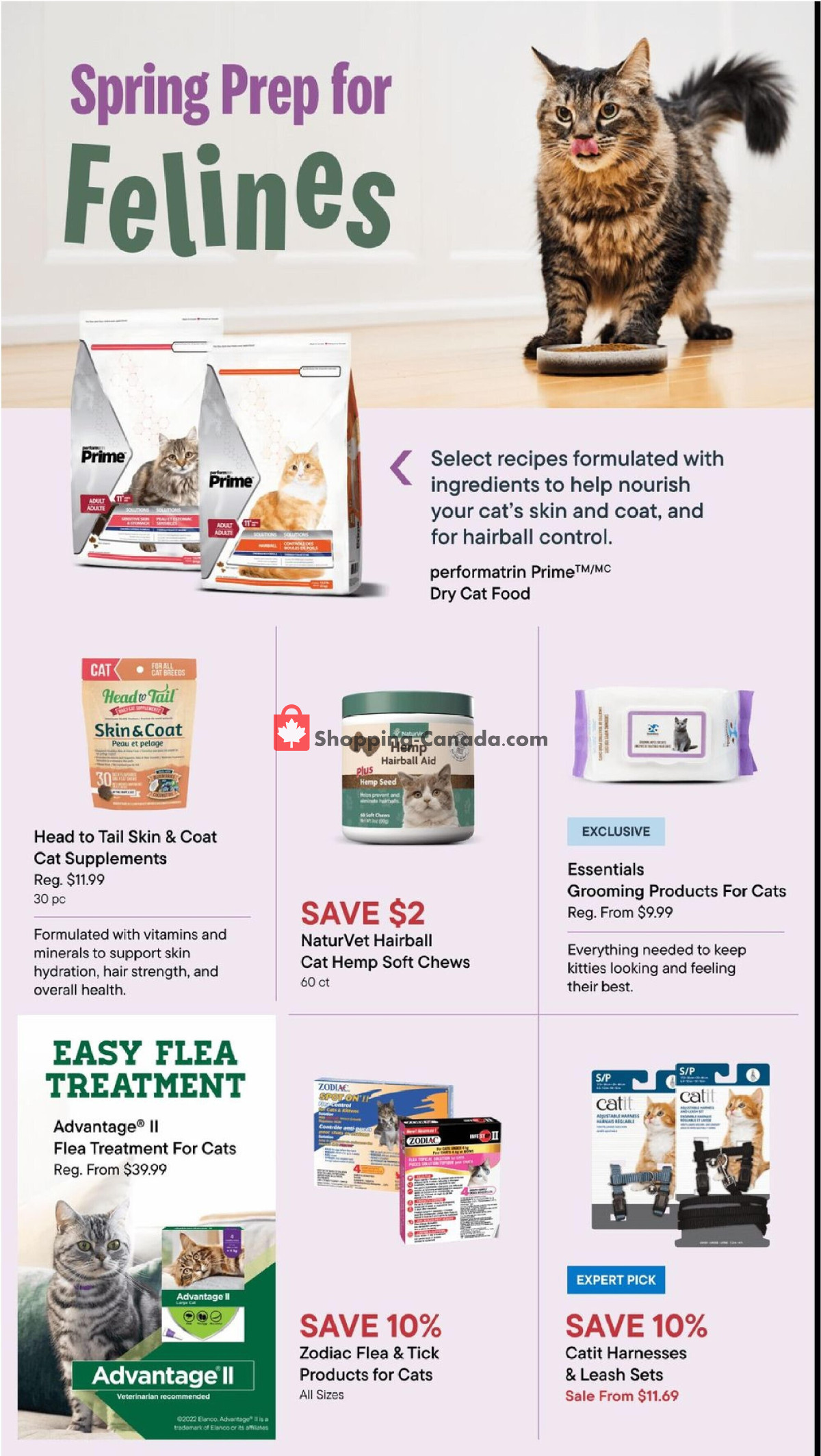 Total Pet flyer from Thursday February 29, 2024 to Wednesday March 27, 2024 - page 16