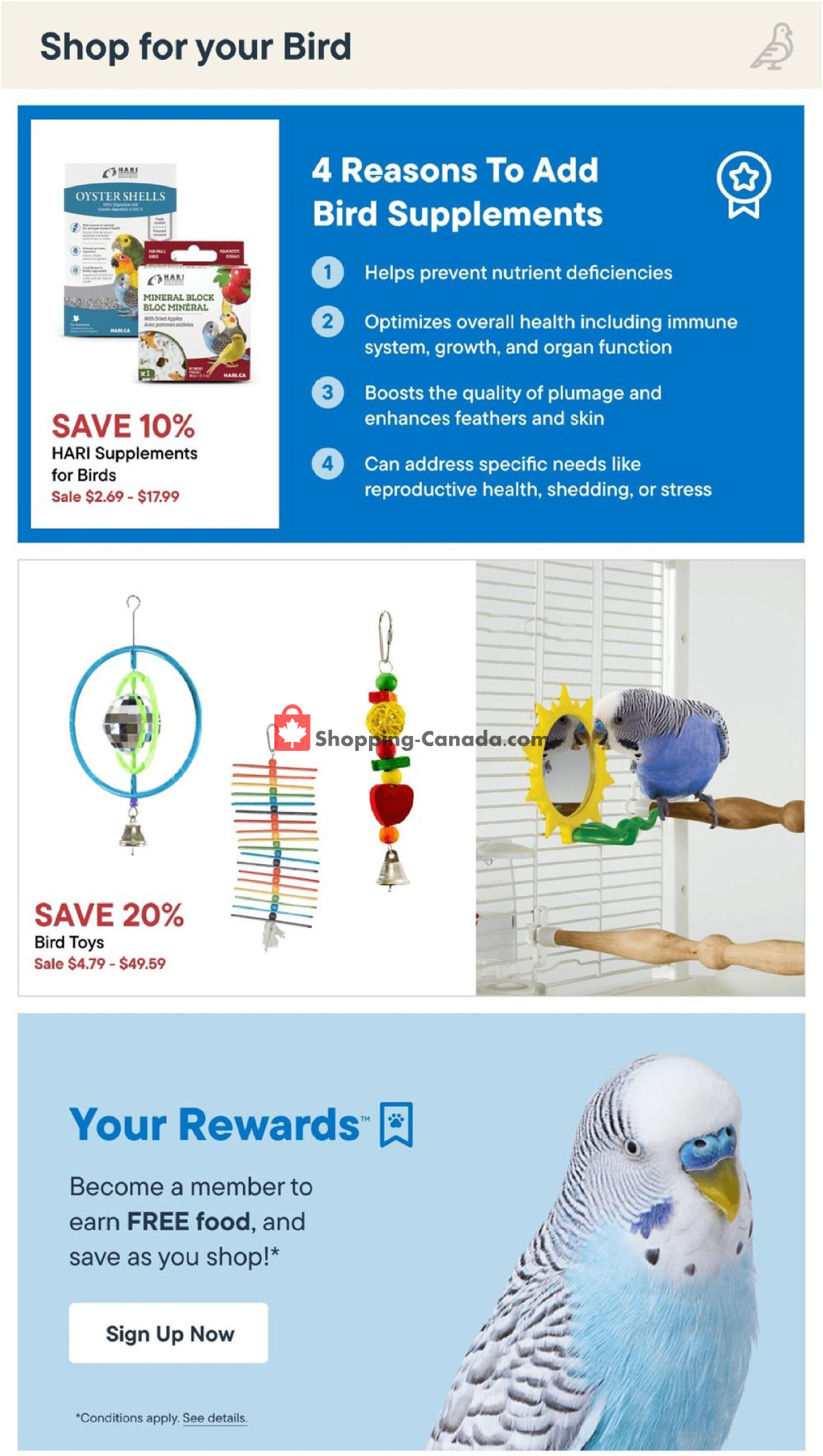 Total Pet flyer from Thursday February 29, 2024 to Wednesday March 27, 2024 - page 21