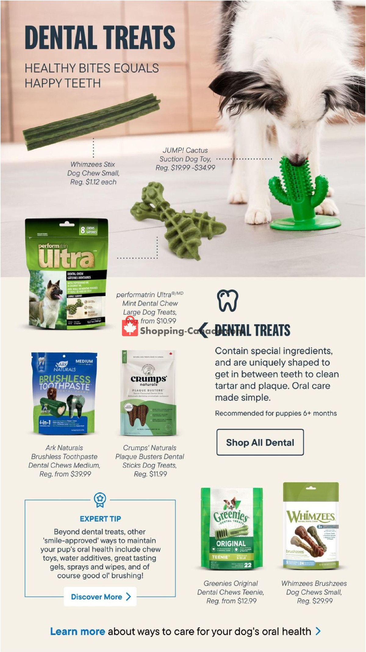 Total Pet flyer from Tuesday January 2, 2024 to Sunday March 31, 2024 - page 10