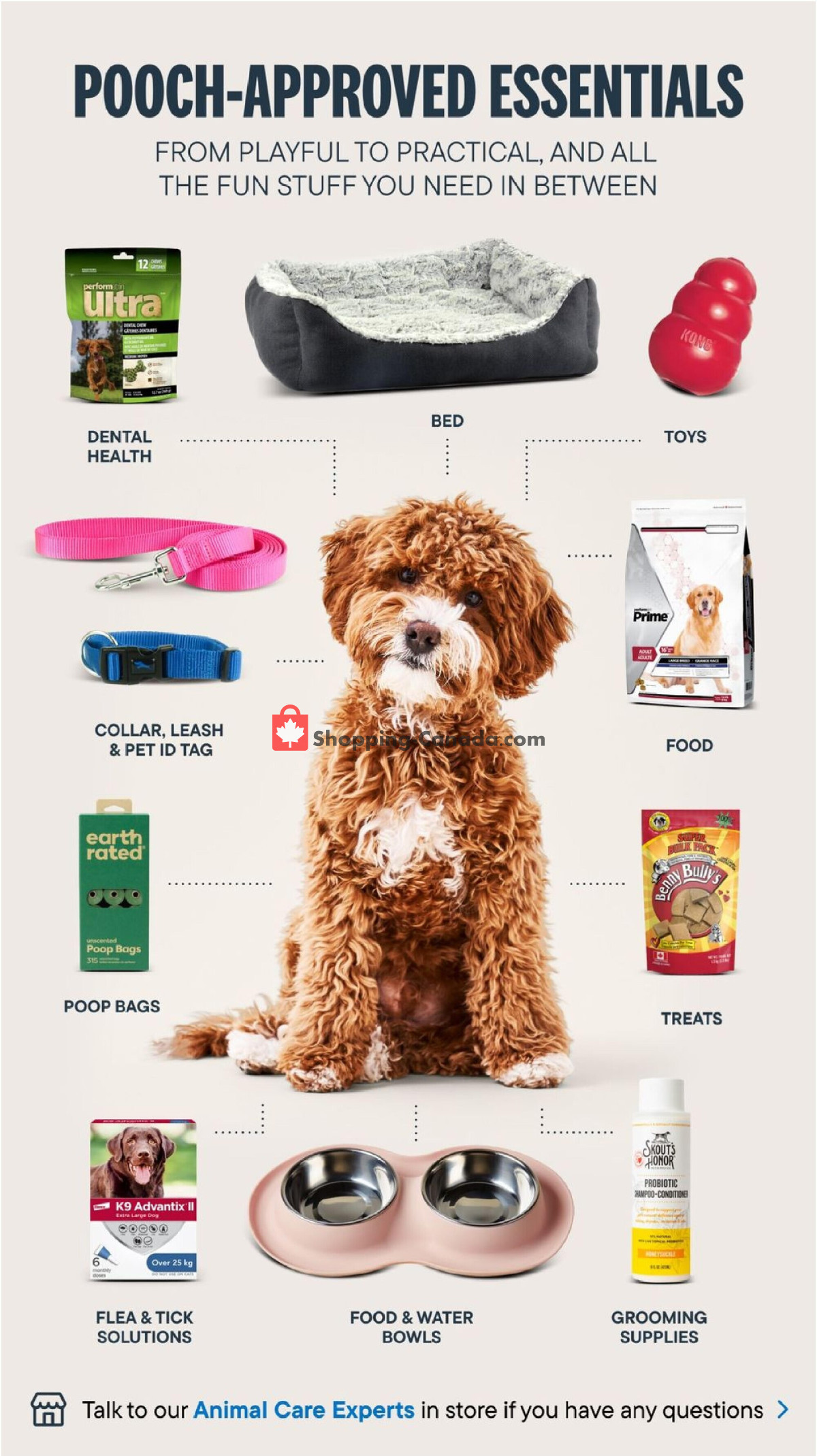 Total Pet flyer from Tuesday January 2, 2024 to Sunday March 31, 2024 - page 4