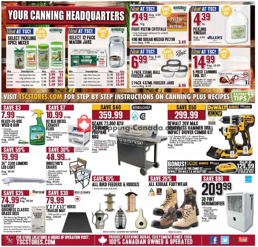 TSC Stores flyer from Friday July 10, 2020 to Thursday July 16, 2020 - page 12