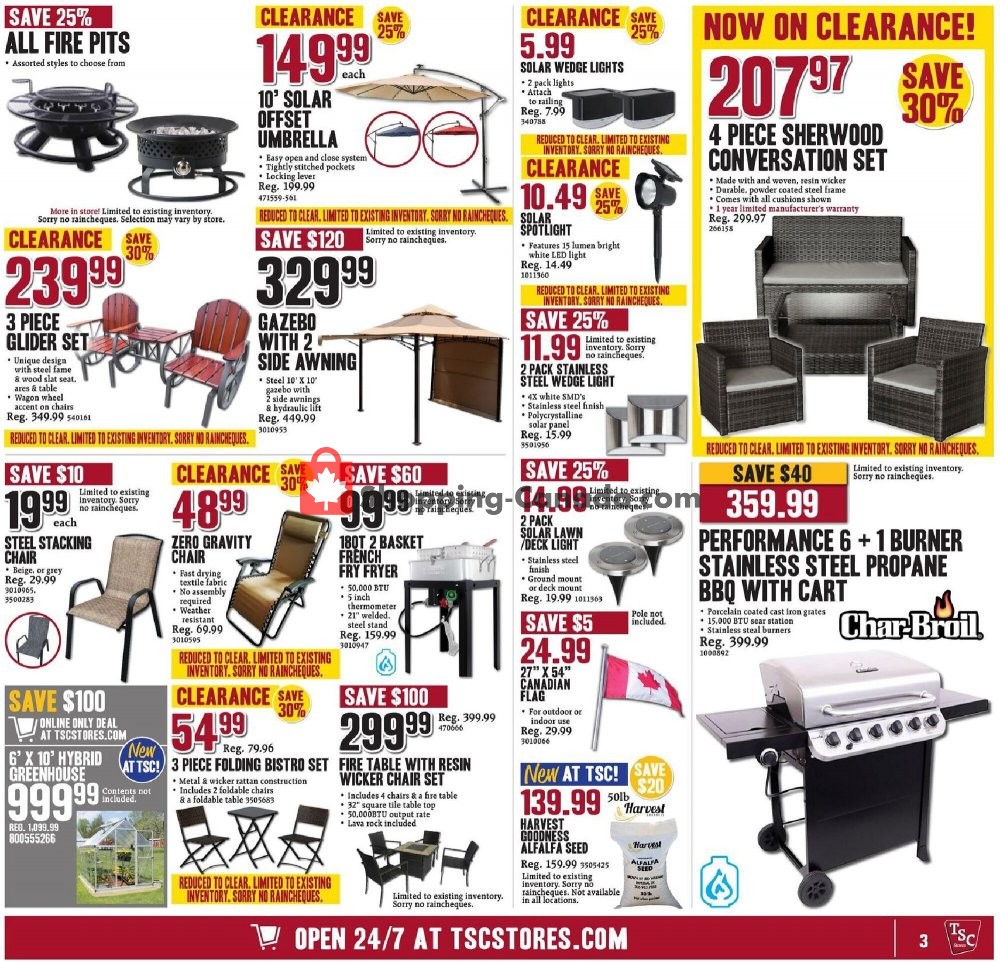 TSC Stores flyer from Friday July 10, 2020 to Thursday July 16, 2020 - page 3