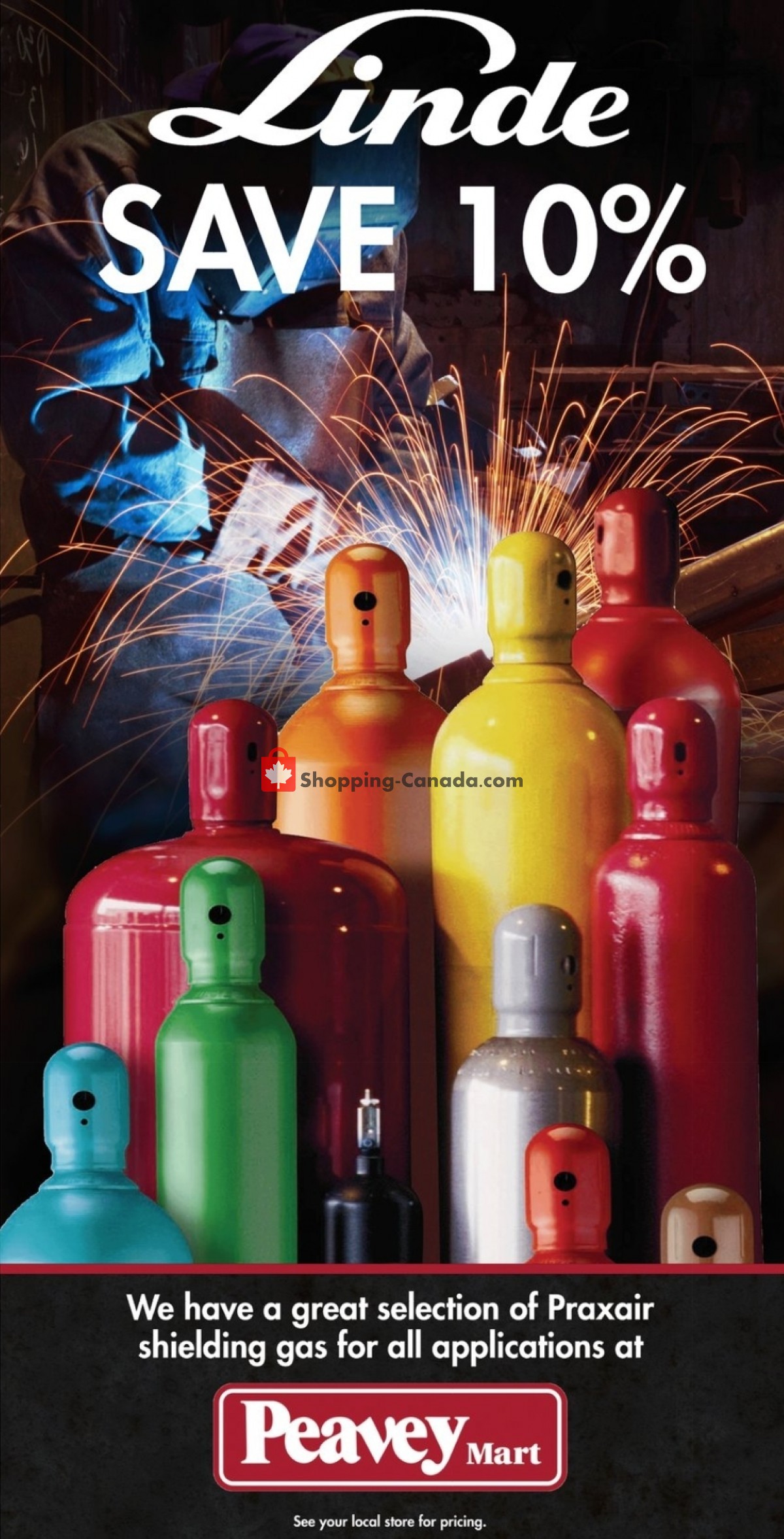 TSC Stores flyer from Thursday November 24, 2022 to Thursday December 1, 2022 - page 10