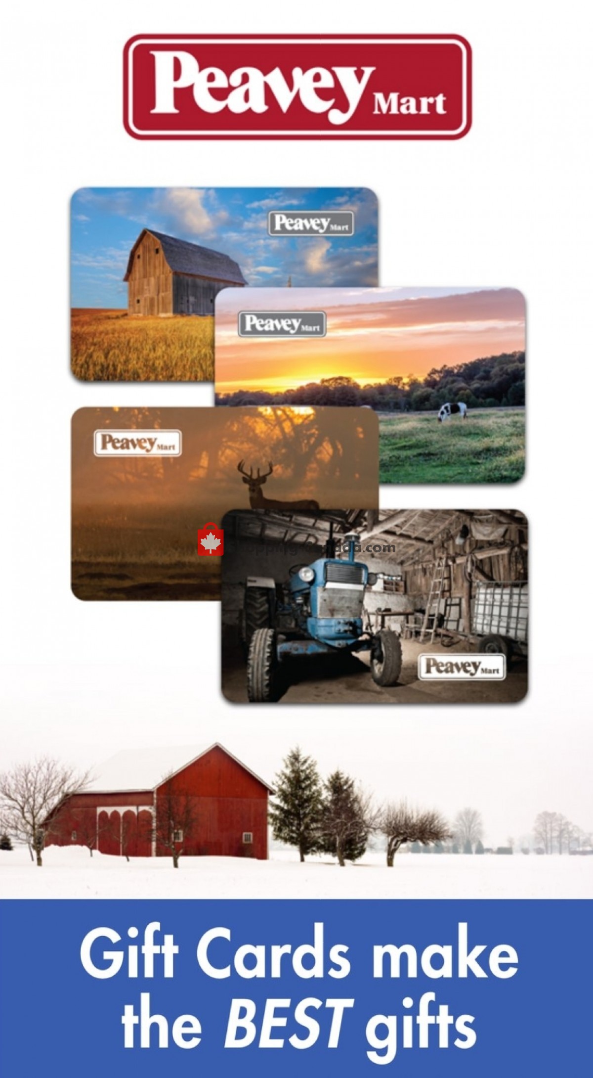 TSC Stores flyer from Thursday November 24, 2022 to Thursday December 1, 2022 - page 2