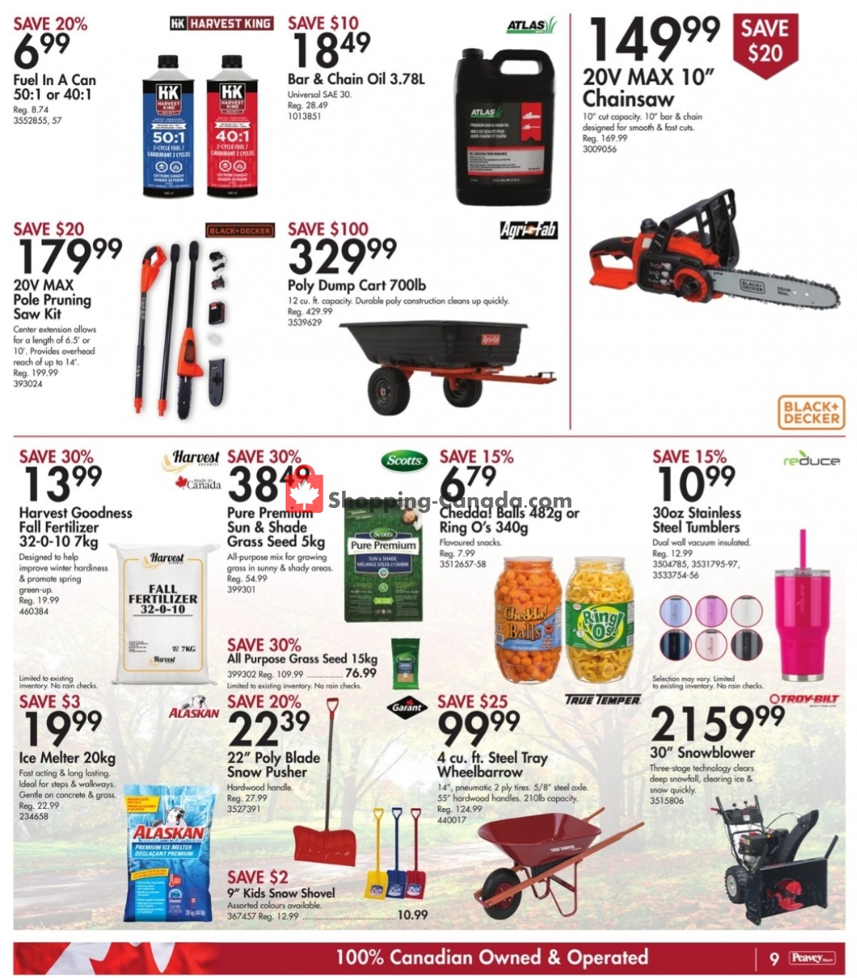 TSC Stores flyer from Friday October 28, 2022 to Thursday November 3, 2022 - page 10