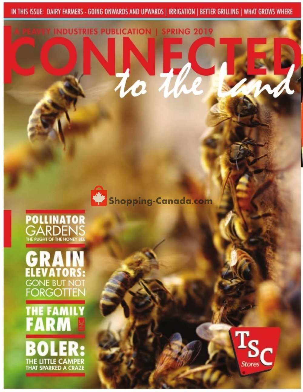 TSC Stores flyer from Friday April 12, 2019 to Saturday August 31, 2019 - page 1