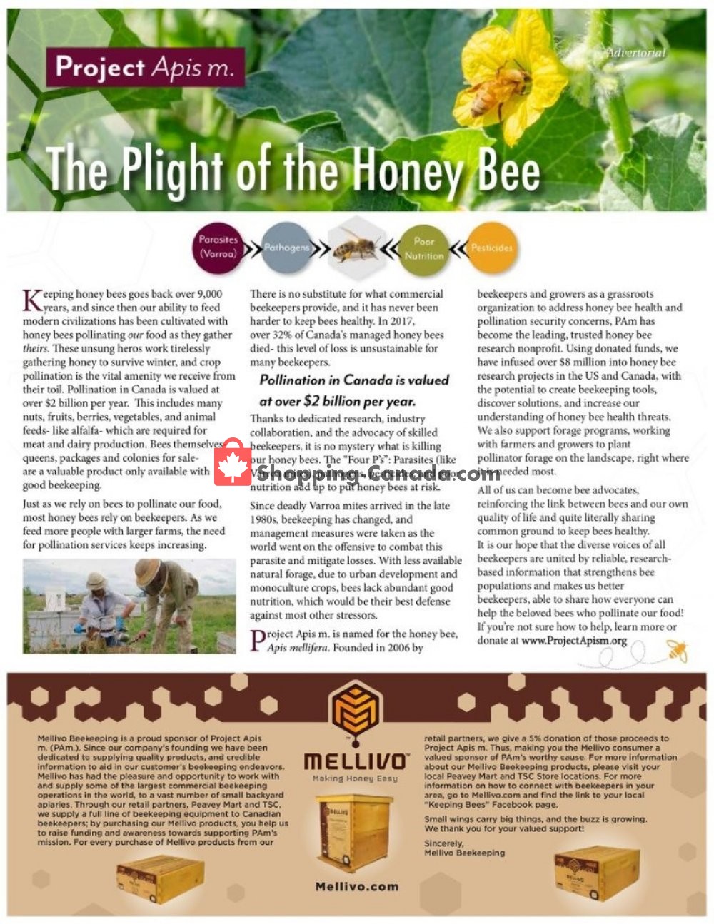 TSC Stores flyer from Friday April 12, 2019 to Saturday August 31, 2019 - page 26