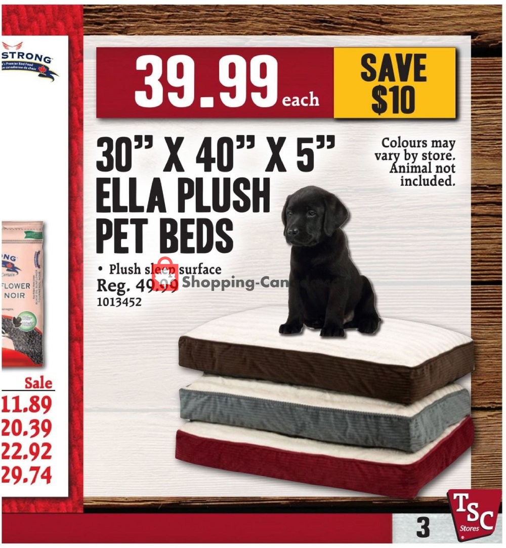 TSC Stores flyer from Thursday October 3, 2019 to Thursday October 10, 2019 - page 9