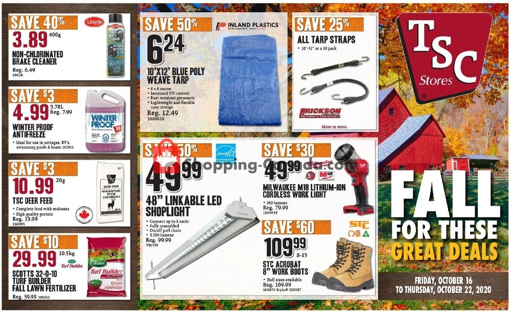 TSC Stores flyer from Friday October 16, 2020 to Thursday October 22, 2020 - page 1