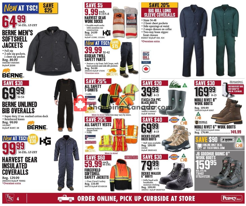 TSC Stores flyer from Friday October 16, 2020 to Thursday October 22, 2020 - page 10