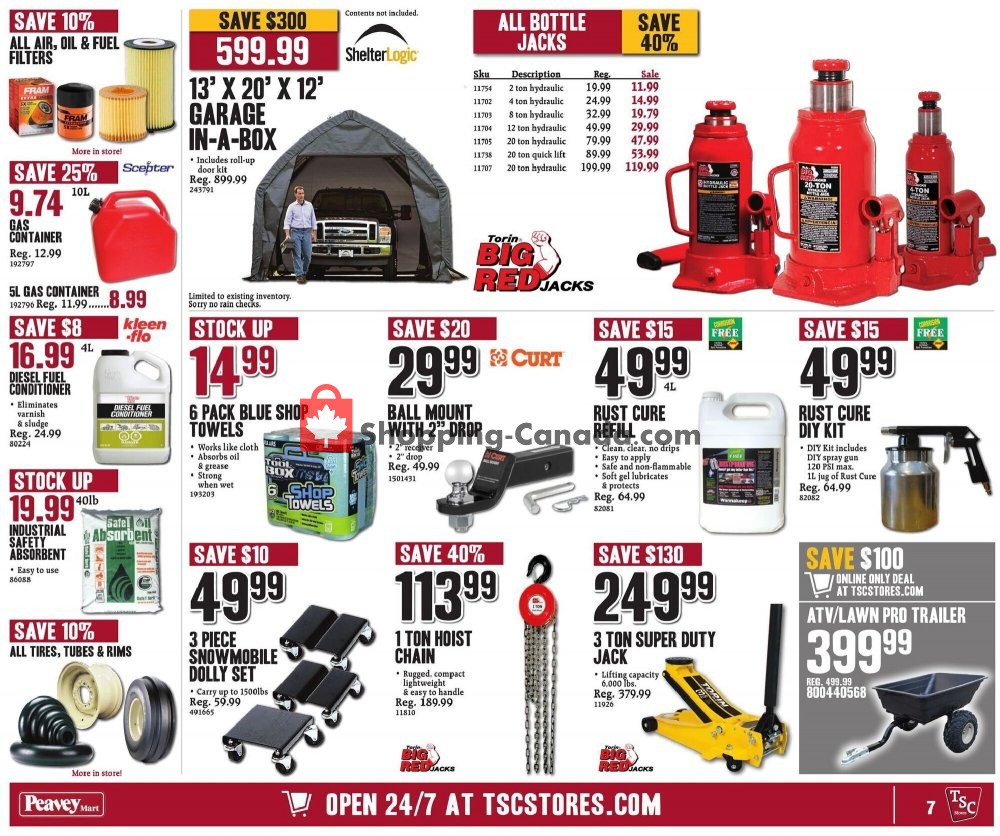 TSC Stores flyer from Friday October 16, 2020 to Thursday October 22, 2020 - page 13