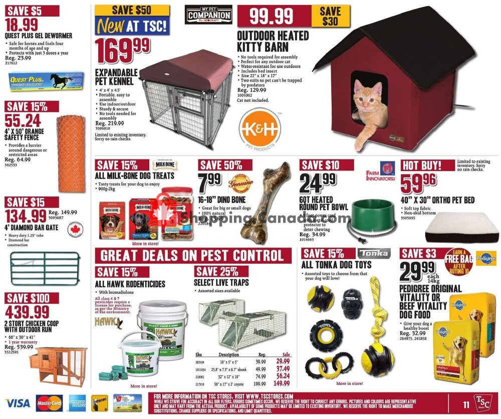 TSC Stores flyer from Friday October 16, 2020 to Thursday October 22, 2020 - page 17