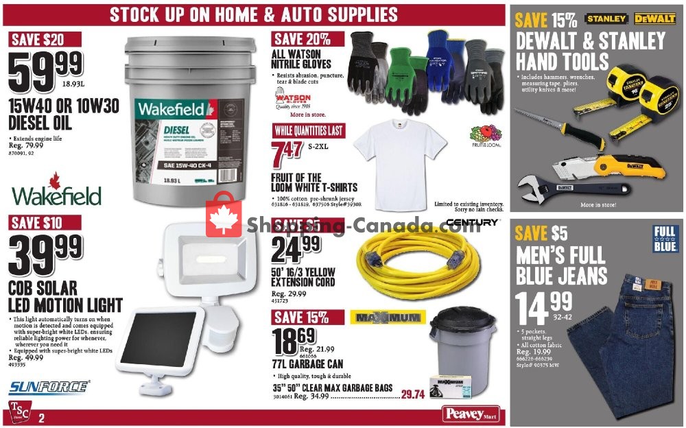 TSC Stores flyer from Friday October 16, 2020 to Thursday October 22, 2020 - page 2