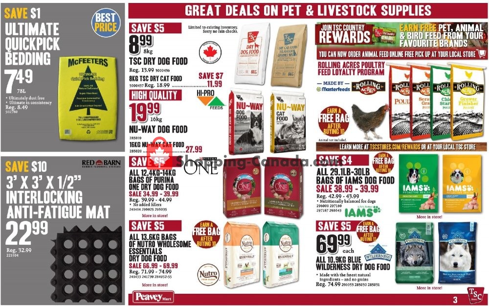 TSC Stores flyer from Friday October 16, 2020 to Thursday October 22, 2020 - page 3