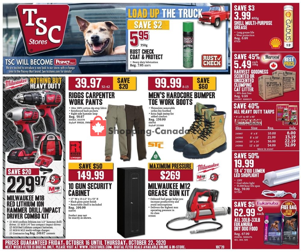 TSC Stores flyer from Friday October 16, 2020 to Thursday October 22, 2020 - page 5