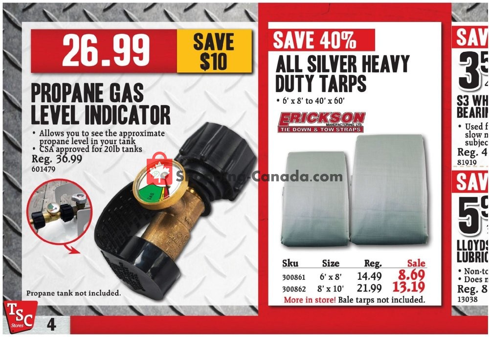 TSC Stores flyer from Thursday April 18, 2019 to Thursday April 25, 2019 - page 10