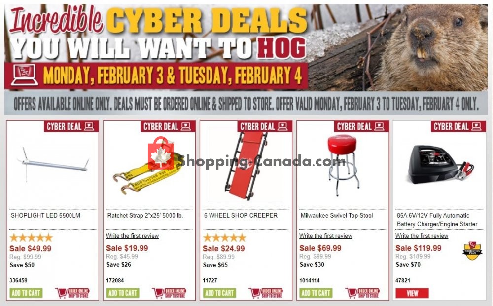 TSC Stores flyer from Monday February 3, 2020 to Tuesday February 4, 2020 - page 1