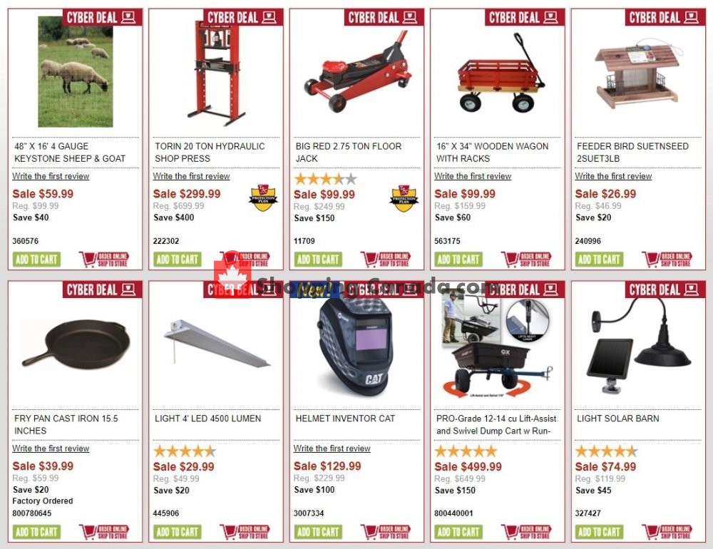 TSC Stores flyer from Monday February 3, 2020 to Tuesday February 4, 2020 - page 4