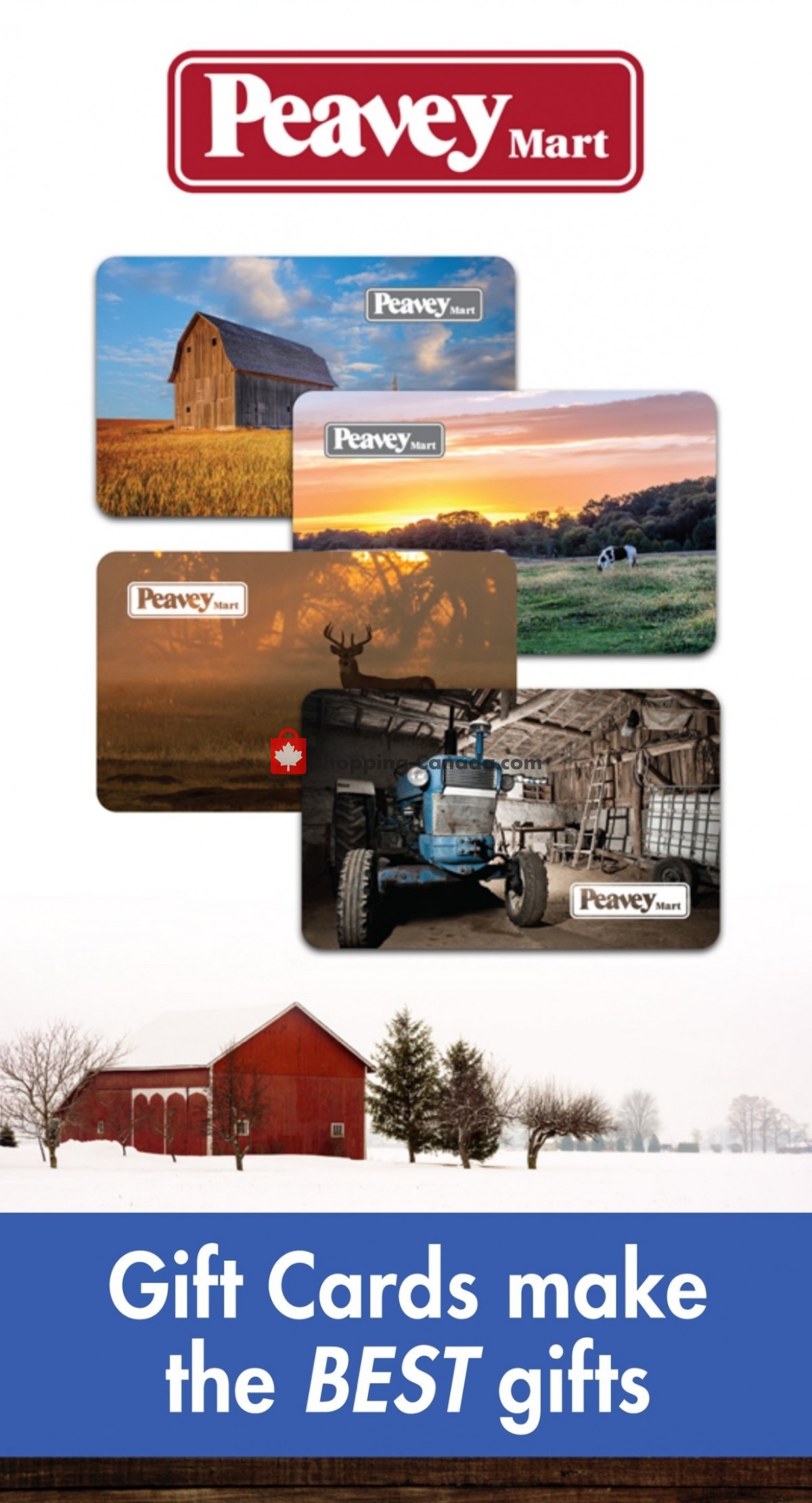 TSC Stores flyer from Friday November 18, 2022 to Wednesday November 23, 2022 - page 2