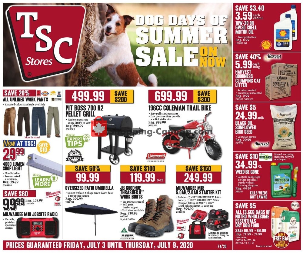 TSC Stores flyer from Friday July 3, 2020 to Thursday July 9, 2020 - page 3