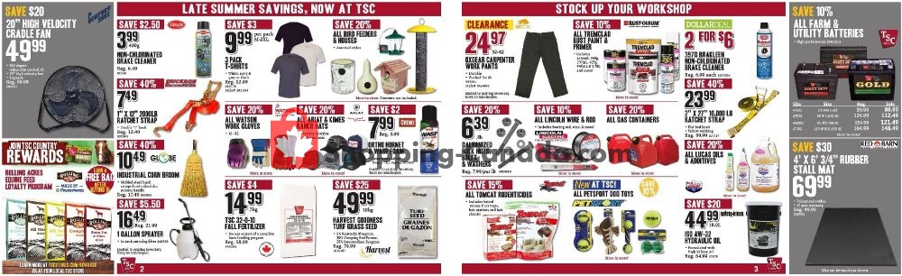 TSC Stores flyer from Friday August 7, 2020 to Thursday August 13, 2020 - page 2
