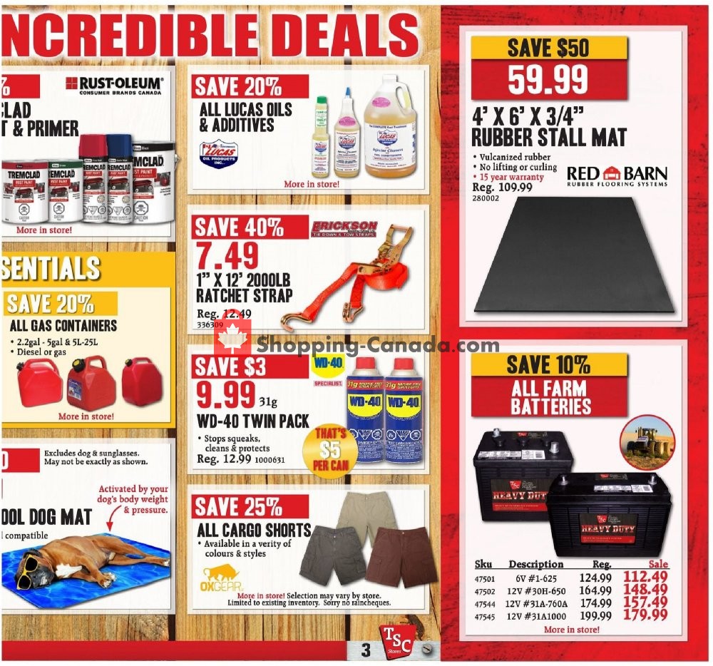 TSC Stores flyer from Friday August 9, 2019 to Thursday August 15, 2019 - page 7