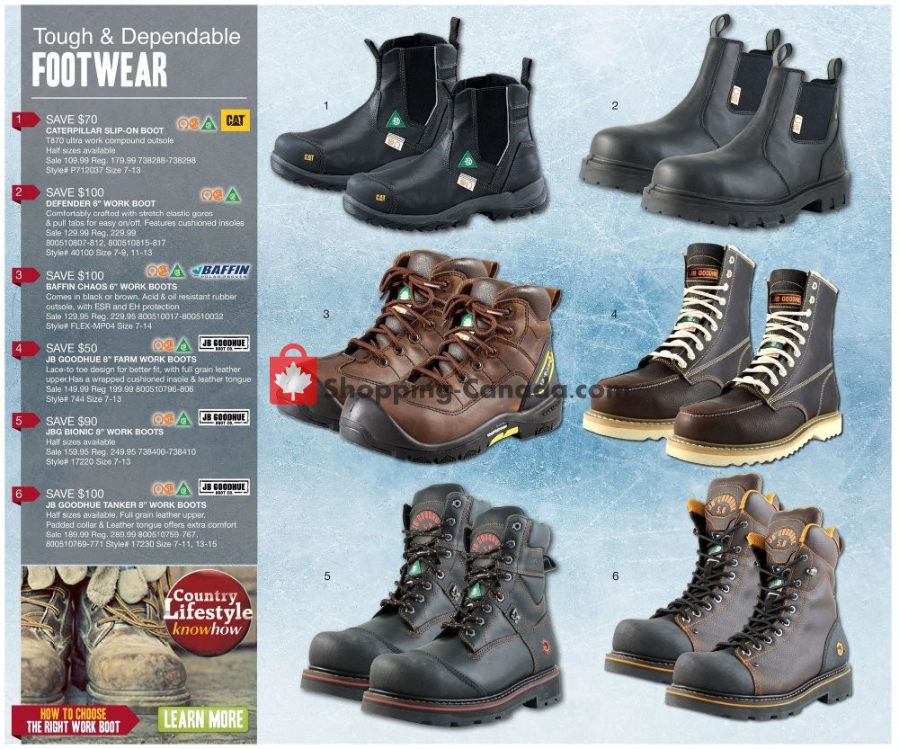 TSC Stores flyer from Friday January 10, 2020 to Thursday January 16, 2020 - page 13