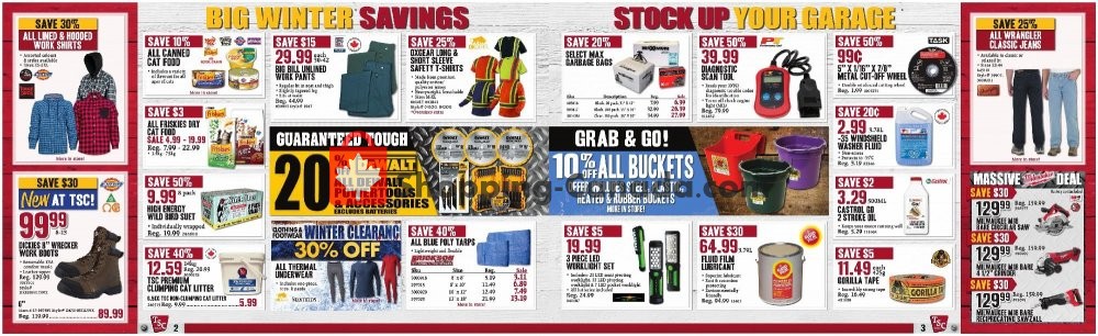 TSC Stores flyer from Friday January 10, 2020 to Thursday January 16, 2020 - page 2