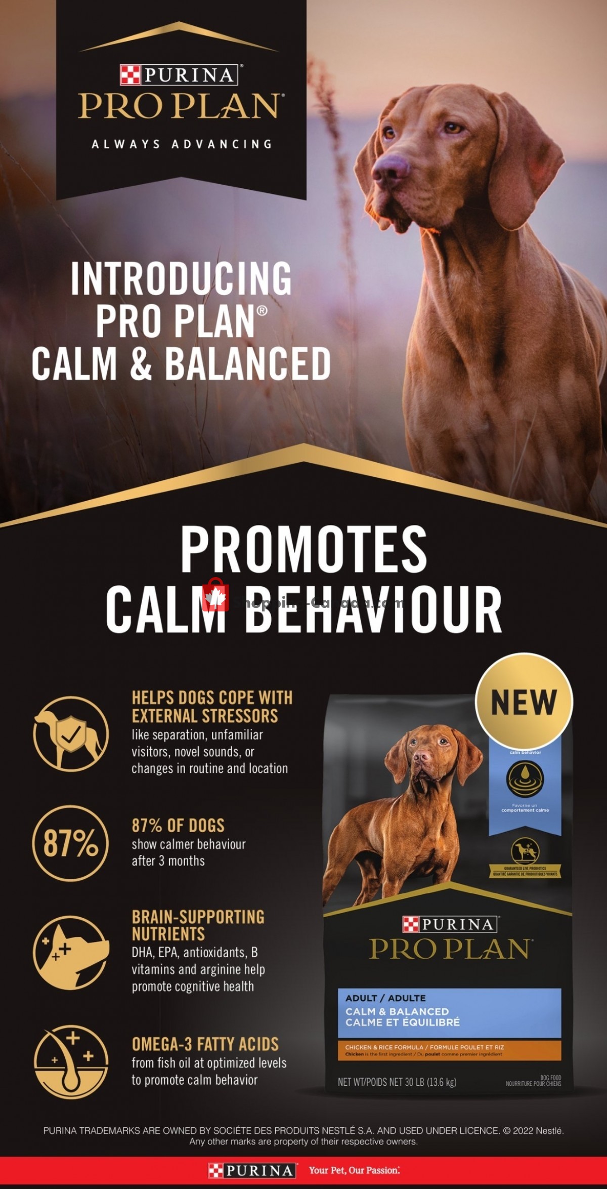 TSC Stores Canada, flyer (Stock Up On Fall Essentials) September 23