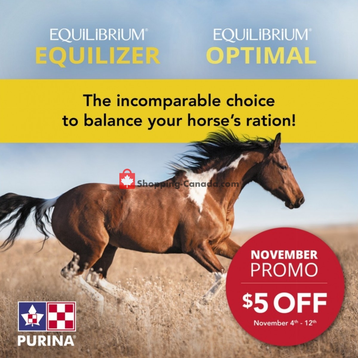 TSC Stores flyer from Friday November 4, 2022 to Thursday November 10, 2022 - page 15