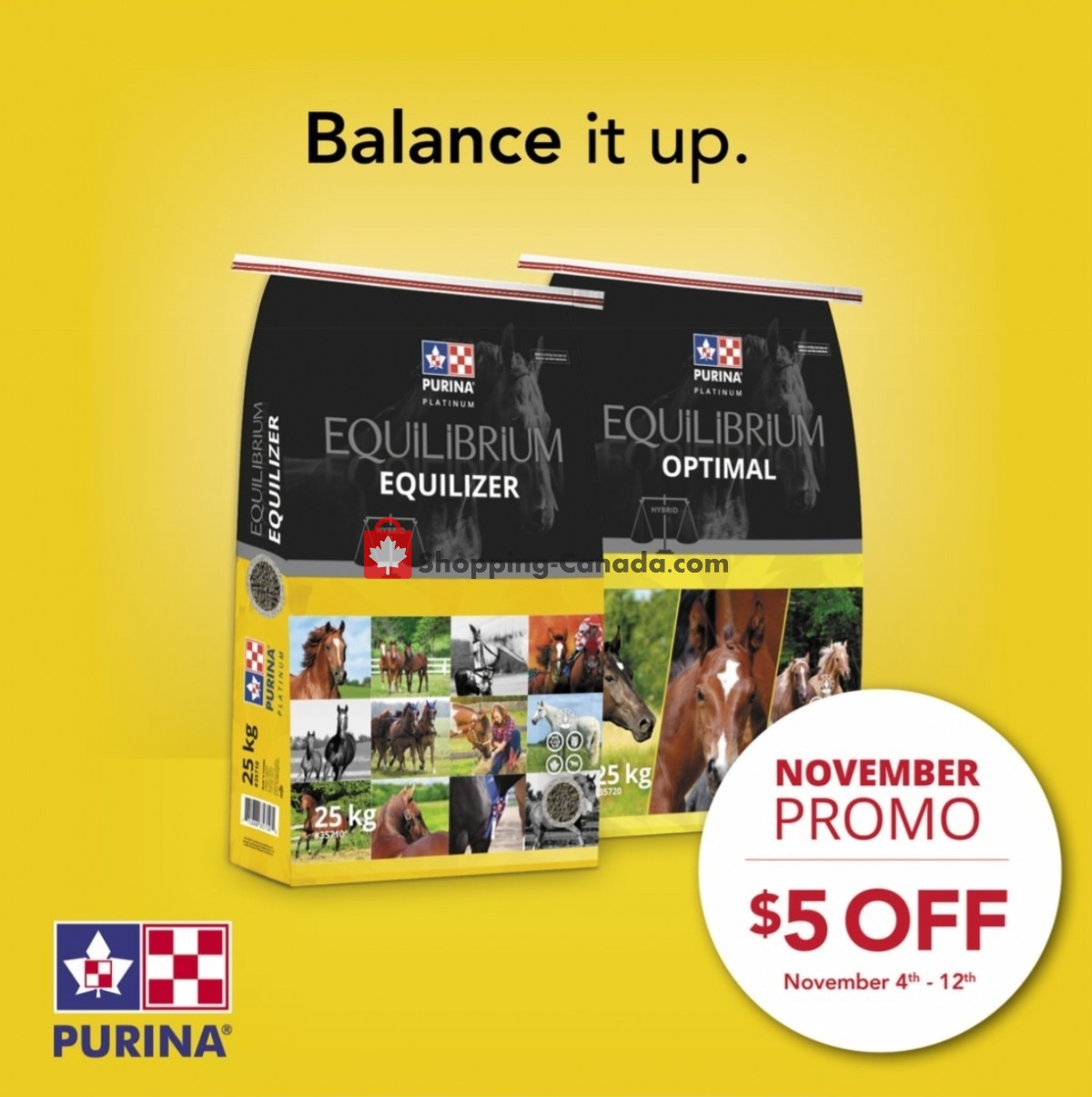 TSC Stores flyer from Friday November 4, 2022 to Thursday November 10, 2022 - page 16