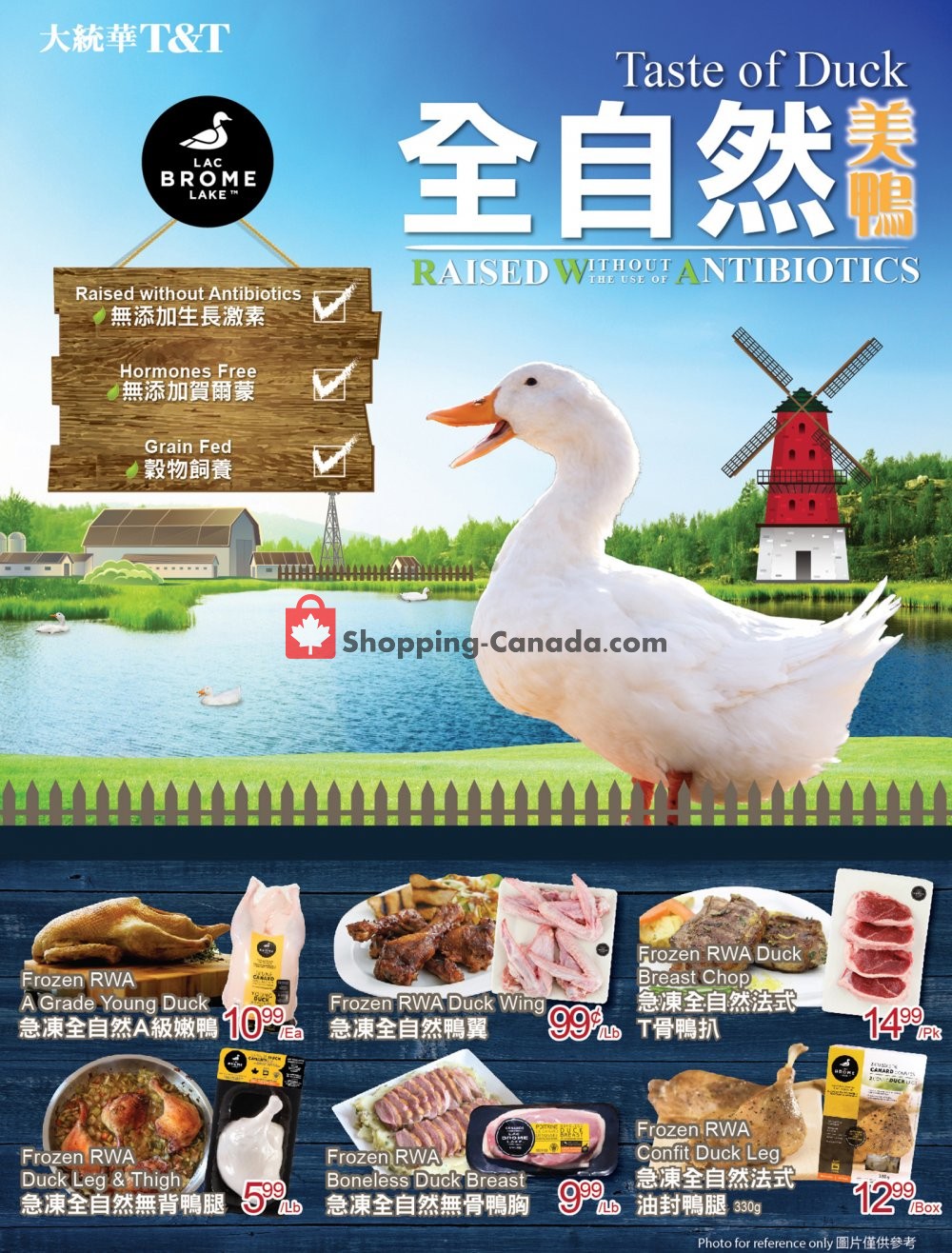 T&T Supermarket flyer from Friday April 19, 2019 to Thursday April 25, 2019 - page 5