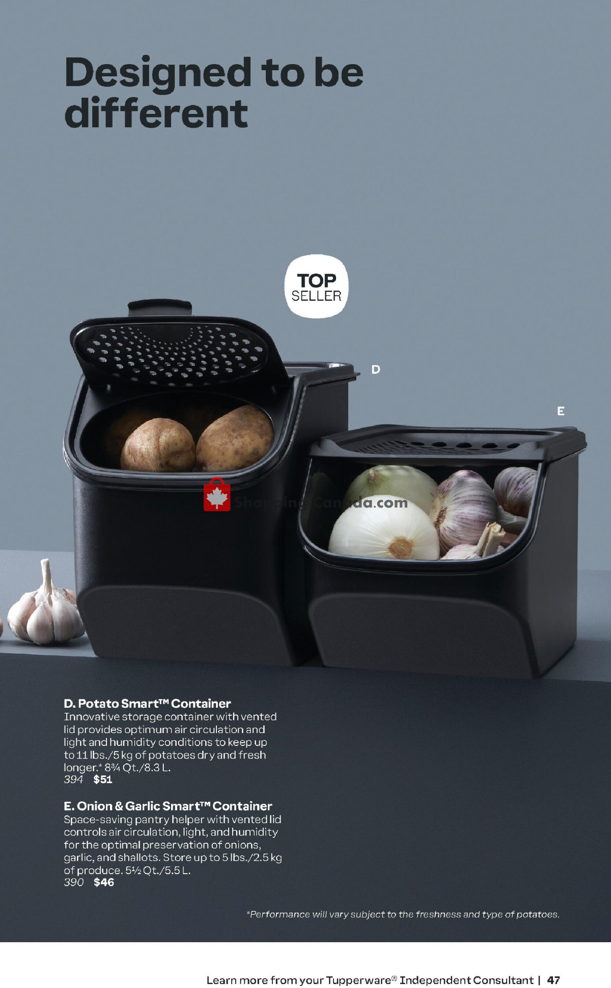 Tupperware flyer from Monday January 1, 2024 to Thursday February 29, 2024 - page 47