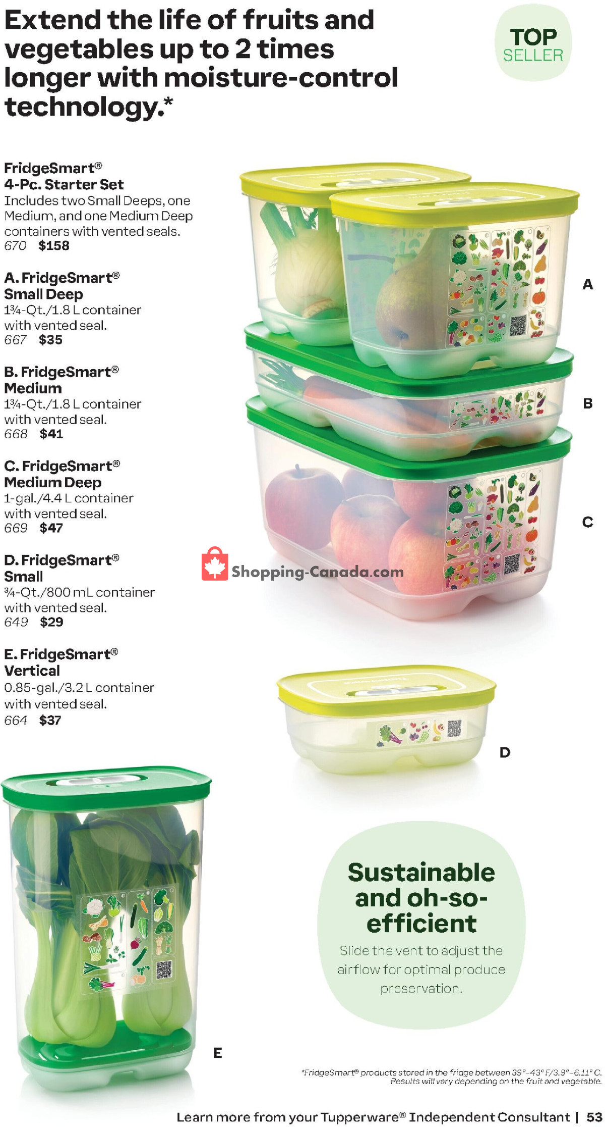 Tupperware flyer from Monday January 1, 2024 to Thursday February 29, 2024 - page 53