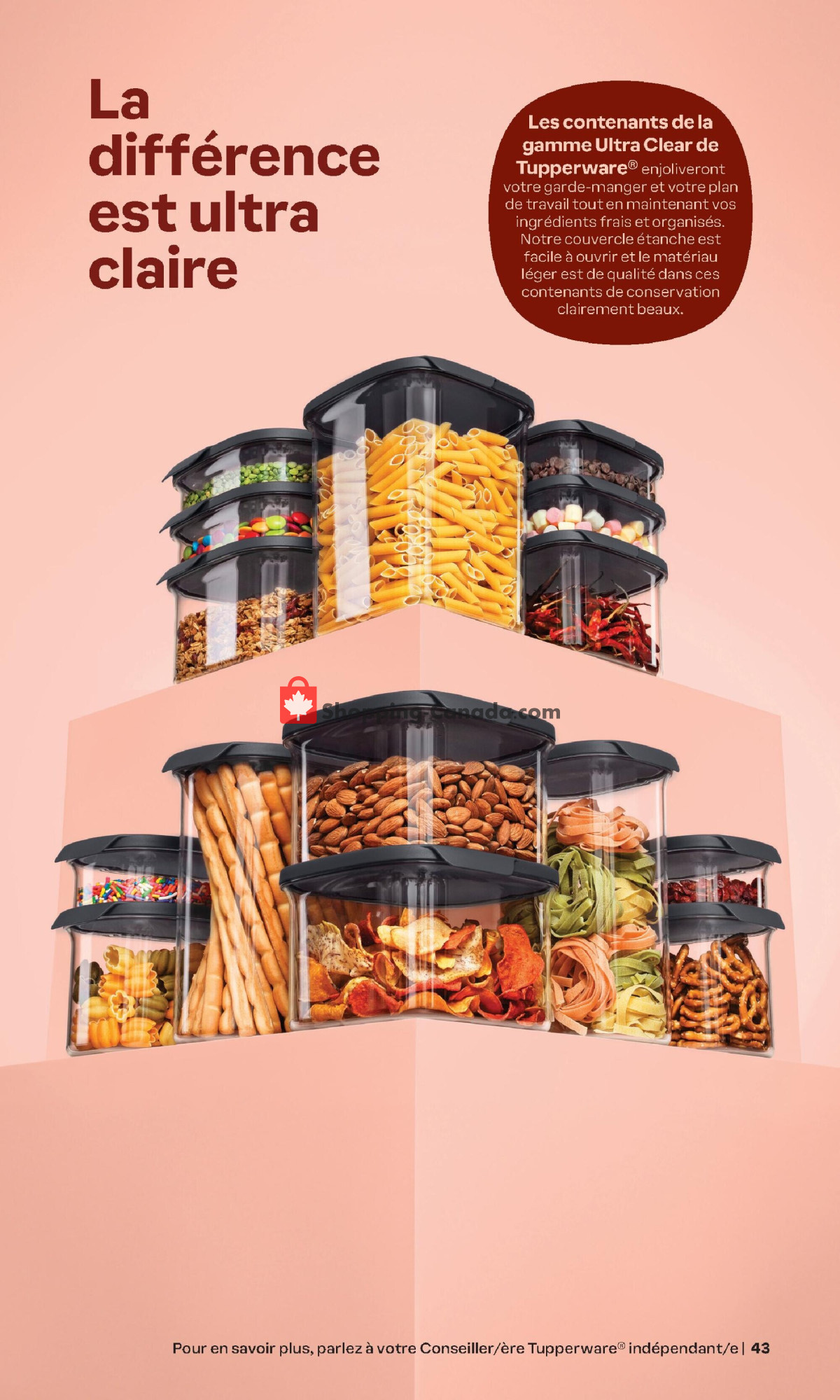 Tupperware flyer from Monday January 1, 2024 to Thursday February 29, 2024 - page 43
