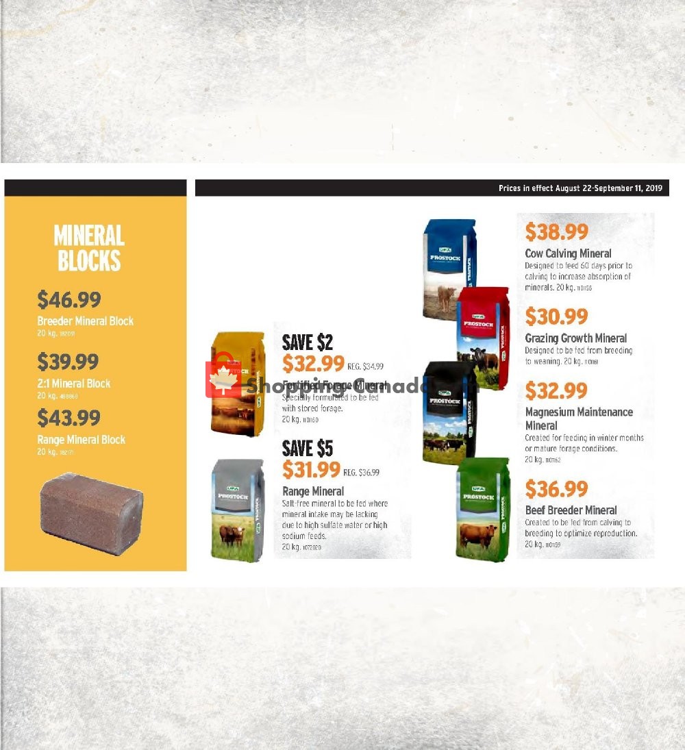 UFA flyer from Thursday August 22, 2019 to Wednesday September 11, 2019 - page 15