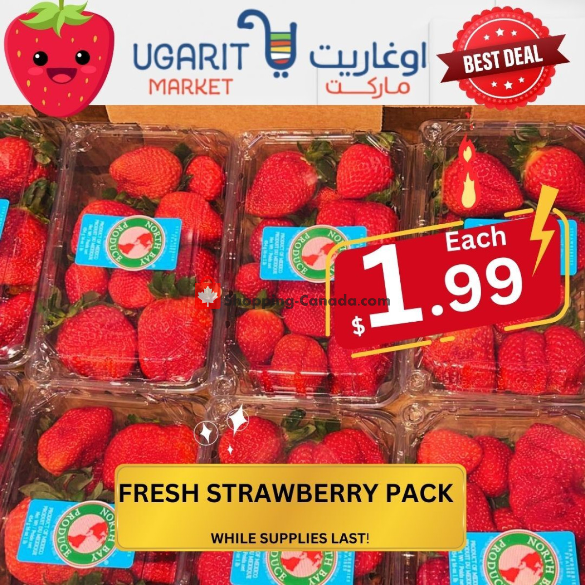 Ugarit Market flyer from Wednesday January 31, 2024 to Tuesday February 6, 2024 - page 6