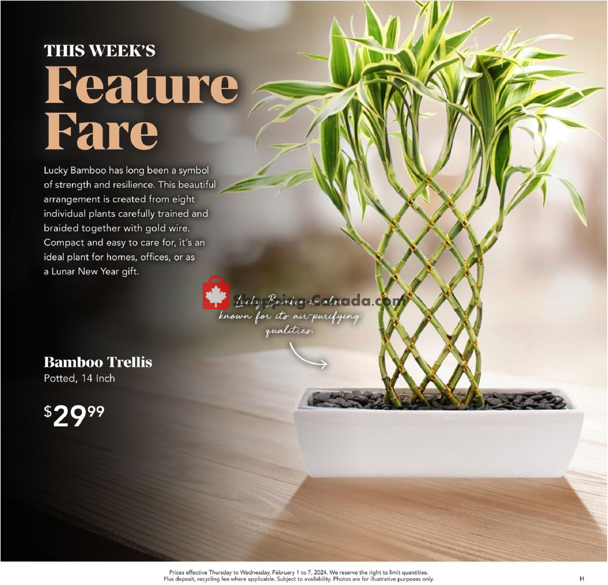 Urban Fare flyer from Thursday February 1, 2024 to Wednesday February 7, 2024 - page 4