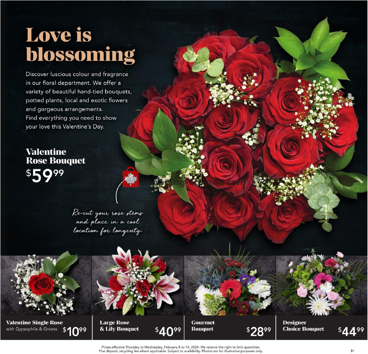 Urban Fare flyer from Thursday February 8, 2024 to Wednesday February 14, 2024 - page 3