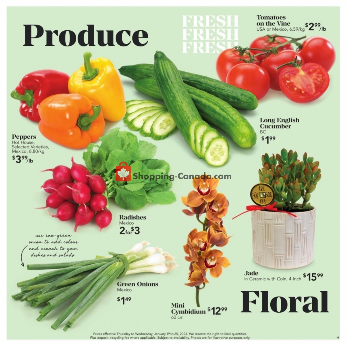 Urban Fare flyer from Thursday January 19, 2023 to Wednesday January 25, 2023 - page 5