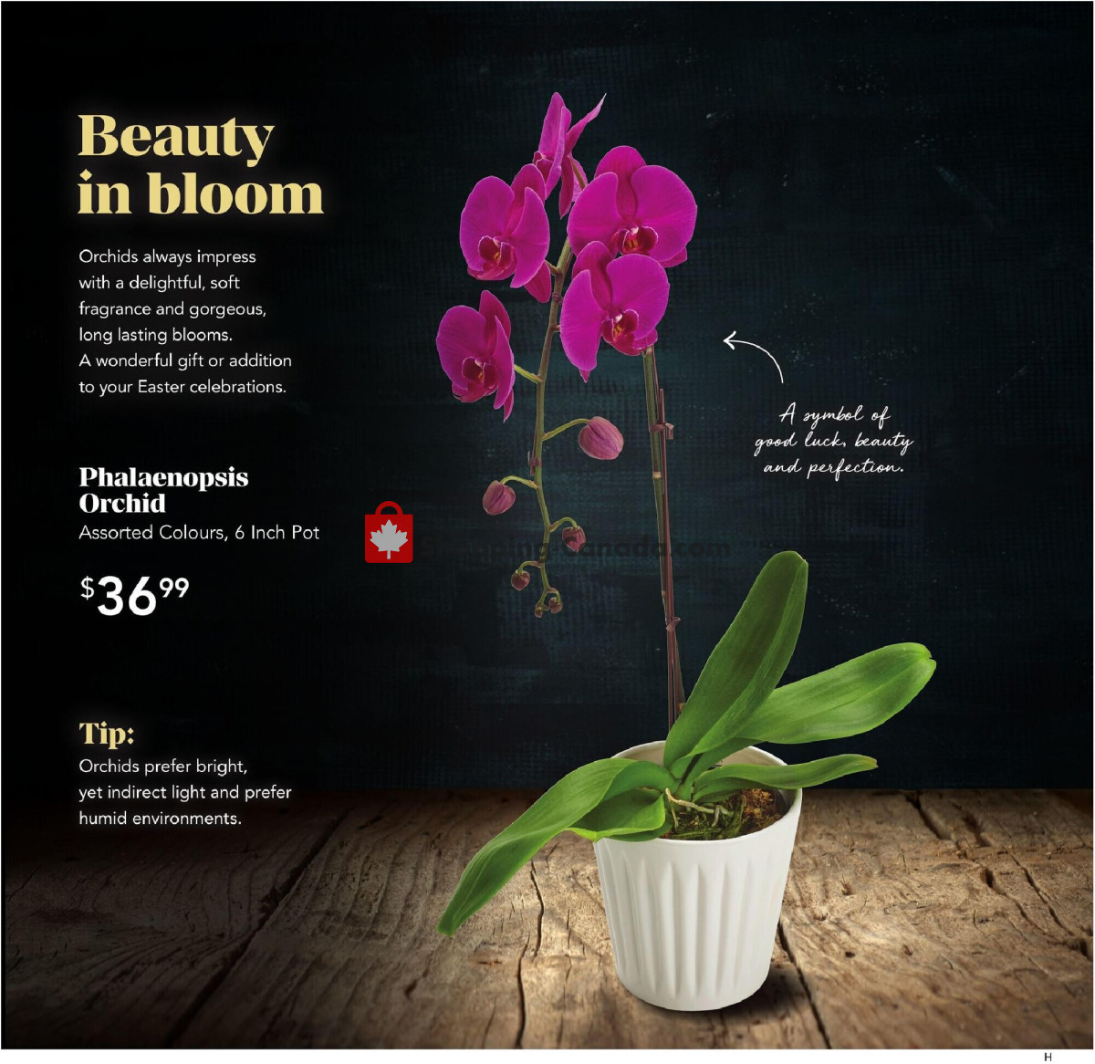 Urban Fare flyer from Thursday March 28, 2024 to Wednesday April 3, 2024 - page 5