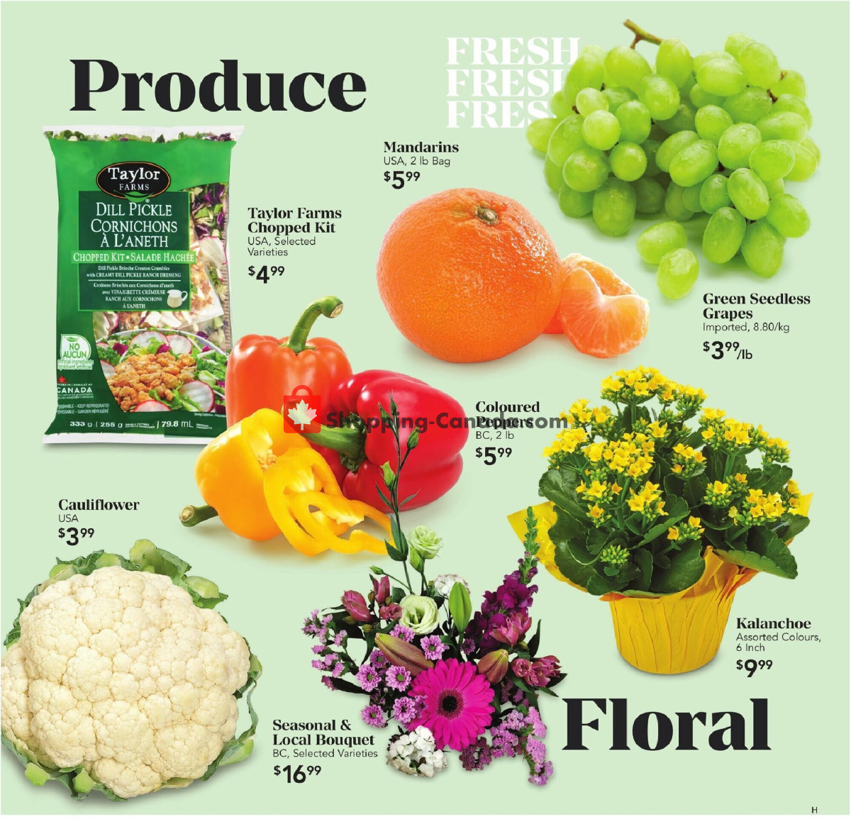 Urban Fare flyer from Thursday May 23, 2024 to Wednesday May 29, 2024 - page 4