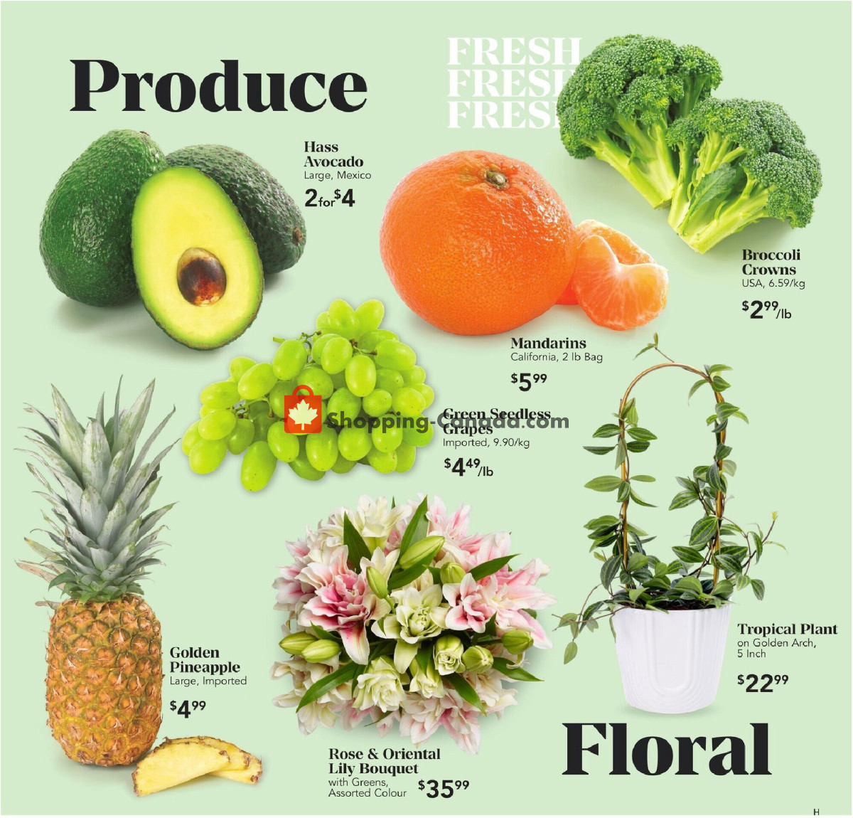 Urban Fare flyer from Thursday May 9, 2024 to Wednesday May 15, 2024 - page 4