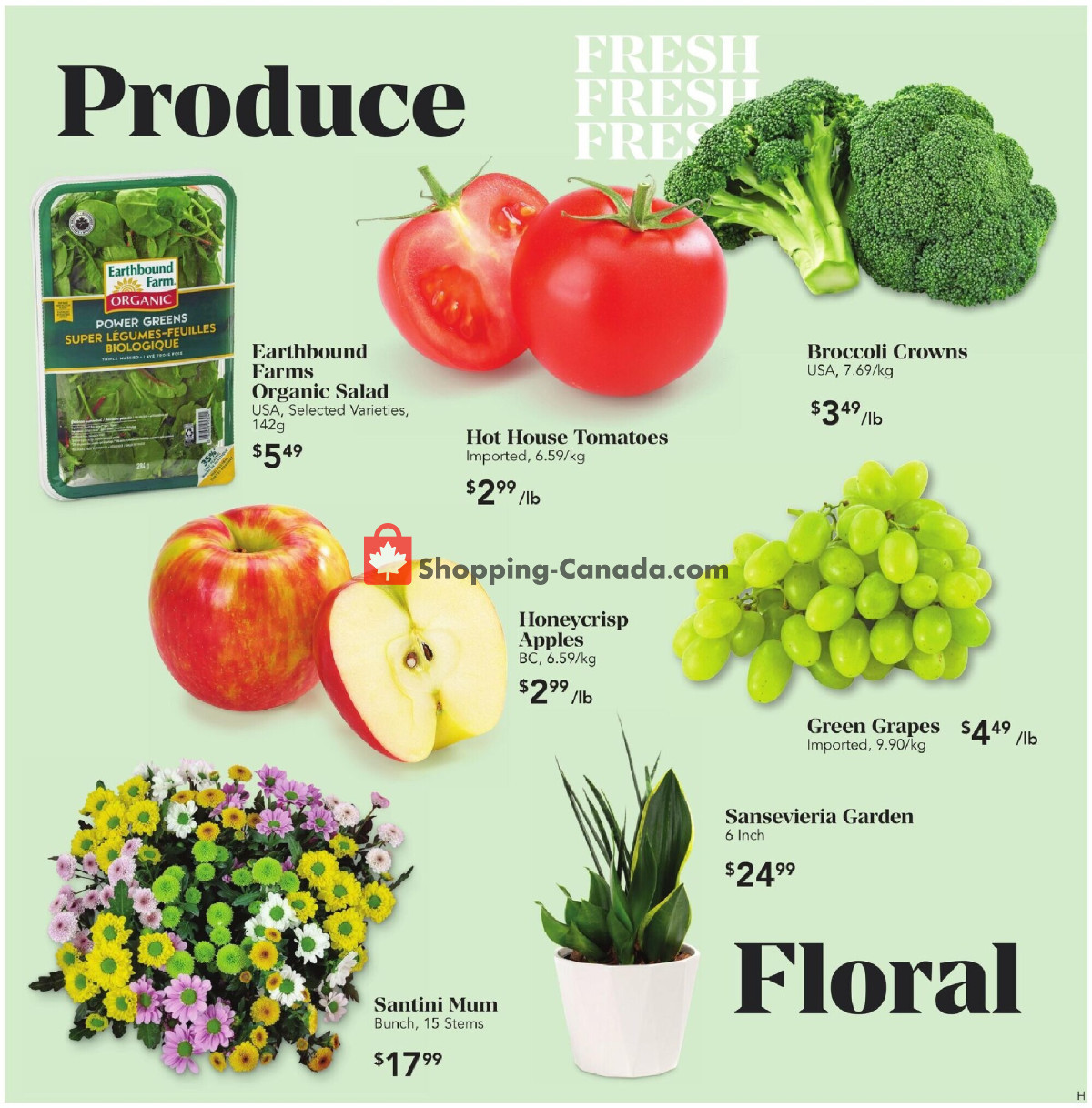 Urban Fare flyer from Thursday February 29, 2024 to Wednesday March 6, 2024 - page 3