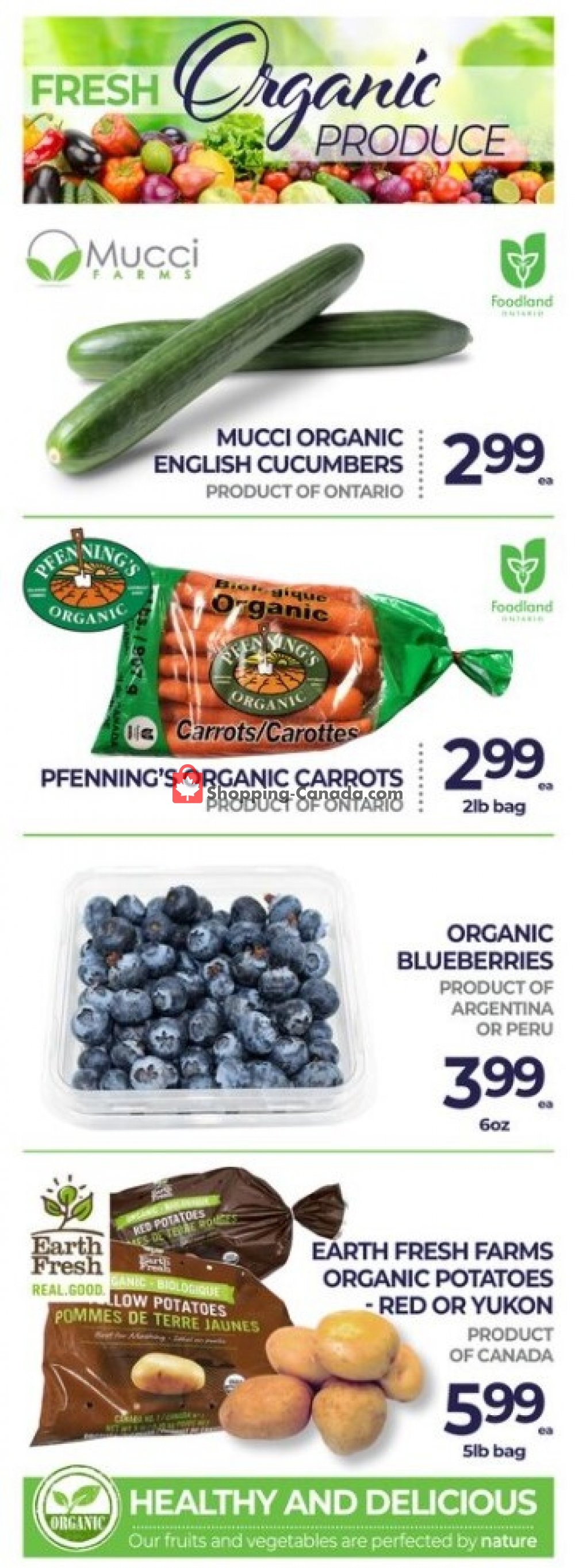 Vince's Market flyer from Friday October 16, 2020 to Thursday October 29, 2020 - page 3